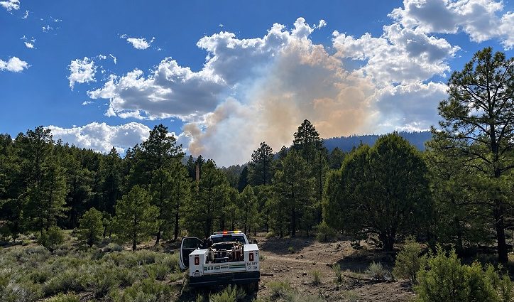 Smoke plume from the Bear Fire rises above a forested area in the Gila National Forest as a firefighting vehicle sits in the foreground.