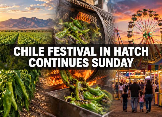 A blended illustration showing Hatch chile fields, roasting green chile and carnival rides during the Hatch Chile Festival.