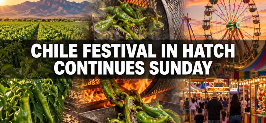A blended illustration showing Hatch chile fields, roasting green chile and carnival rides during the Hatch Chile Festival.