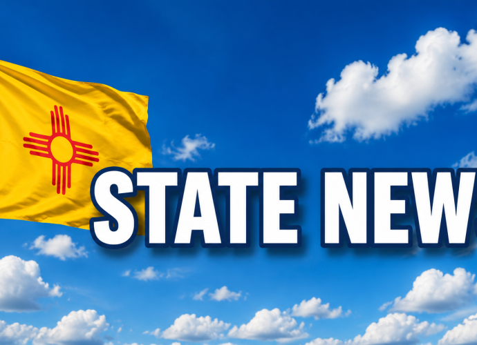 State Rep. Jenifer Jones joins Republican lawmakers calling for an end to New Mexico’s firearm waiting period