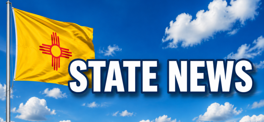State Rep. Jenifer Jones joins Republican lawmakers calling for an end to New Mexico’s firearm waiting period