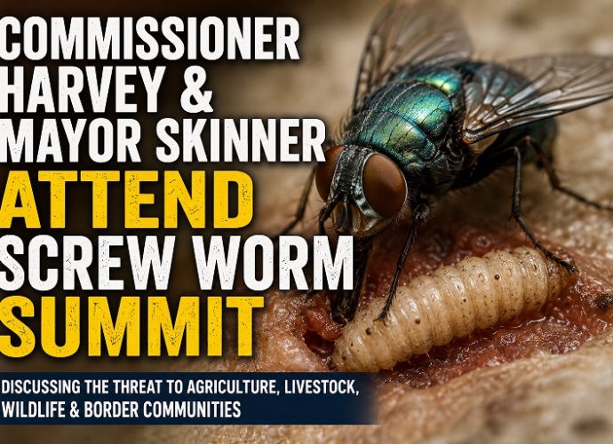 Illustration of a New World screwworm fly promoting a summit attended by Luna County Commissioner Christie Ann Harvey and Village of Columbus Mayor Philip Skinner on protecting agriculture and livestock.