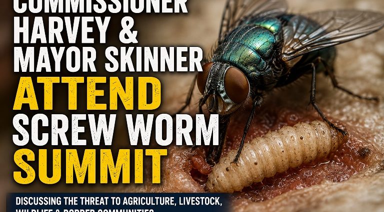 Illustration of a New World screwworm fly promoting a summit attended by Luna County Commissioner Christie Ann Harvey and Village of Columbus Mayor Philip Skinner on protecting agriculture and livestock.