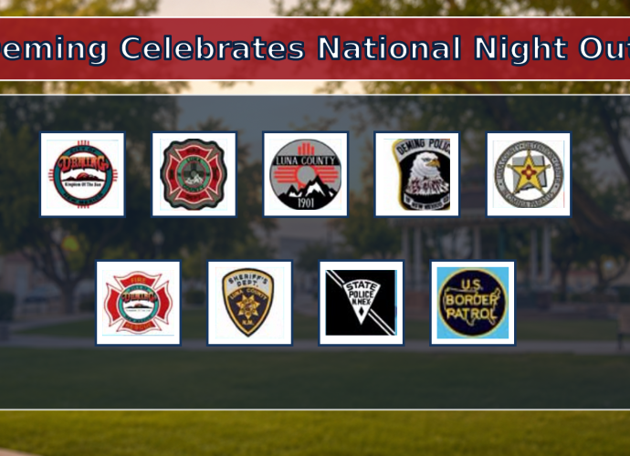 Graphic reading “Deming Celebrates National Night Out!” with participating public-safety agency badges over a blurred park background.