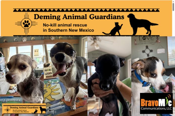 Collage of dogs taken in by DAGSHIP Rescue after reportedly being abandoned without food or water.