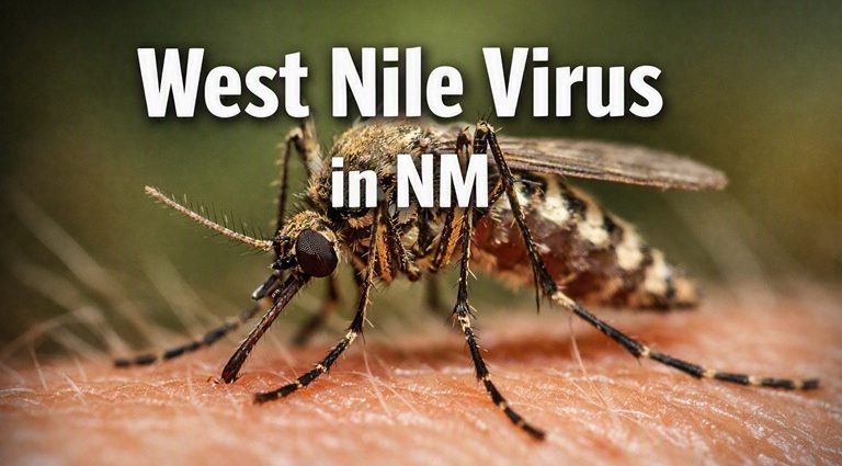 Mosquito graphic with the words “West Nile Virus in NM” and a warning about mosquito precautions.