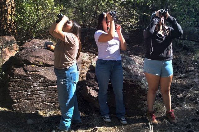 Three bird watchers use binoculars outdoors during a bird survey.
