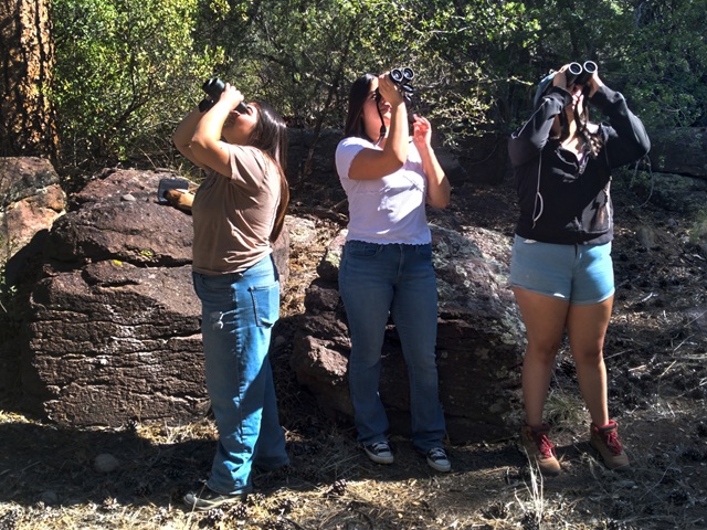Three bird watchers use binoculars outdoors during a bird survey.