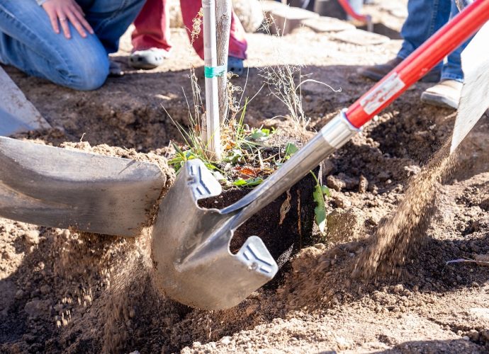 Western New Mexico University Arbor Day image highlighting the university's commitment to tree care and urban forestry.
